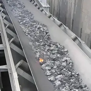 Heat Resistant Conveyor Belt