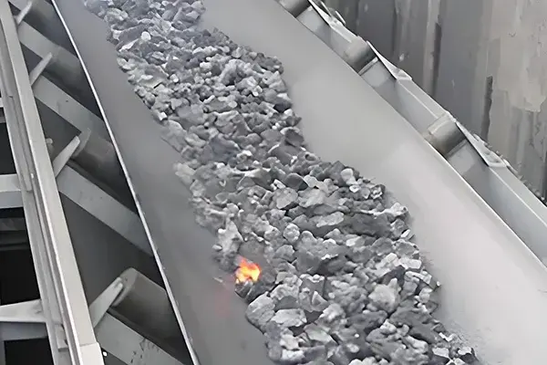 Heat Resistant Conveyor Belt